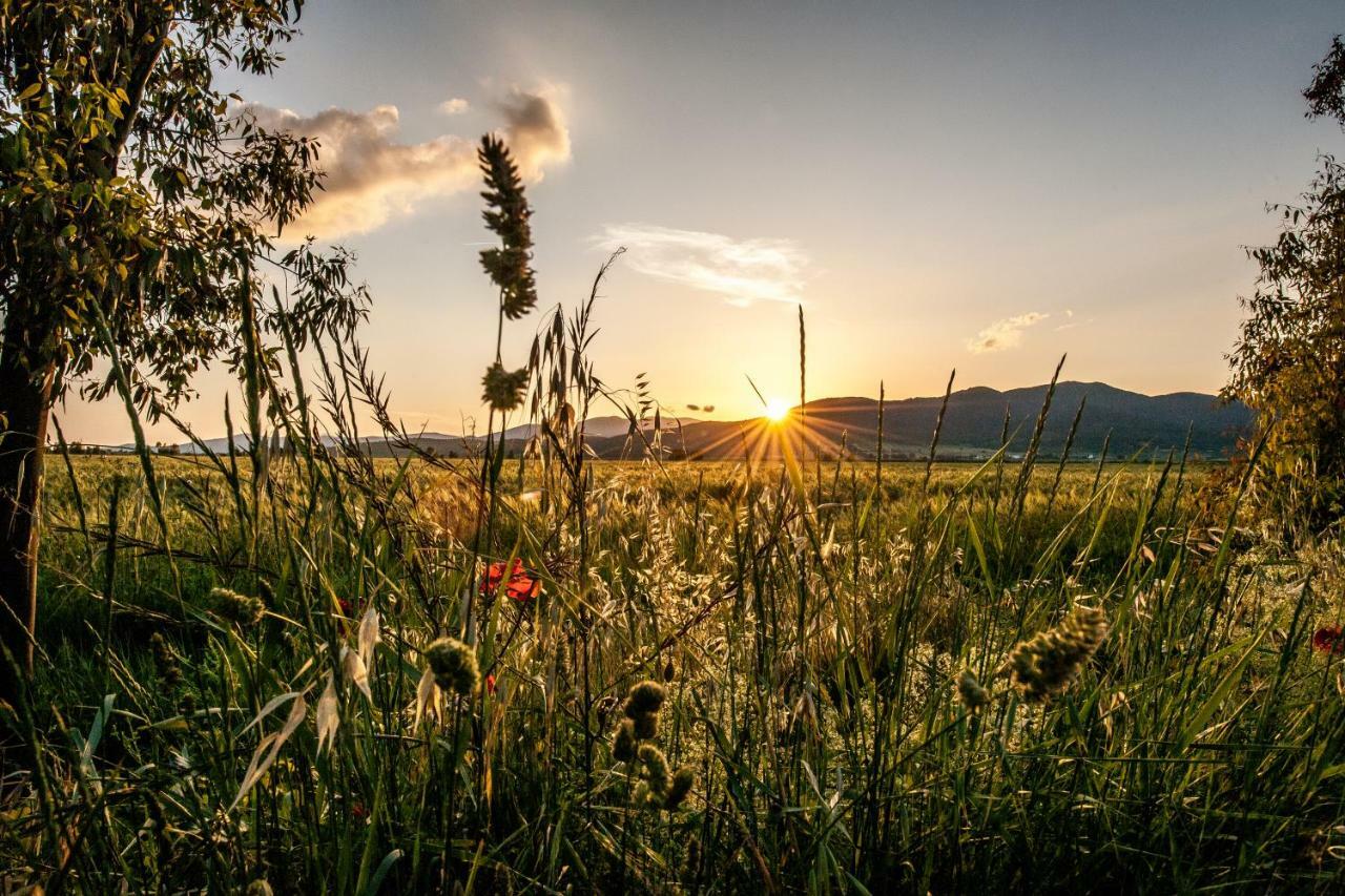 Refugium Countryhouse Podere Cernaia Kültér fotó